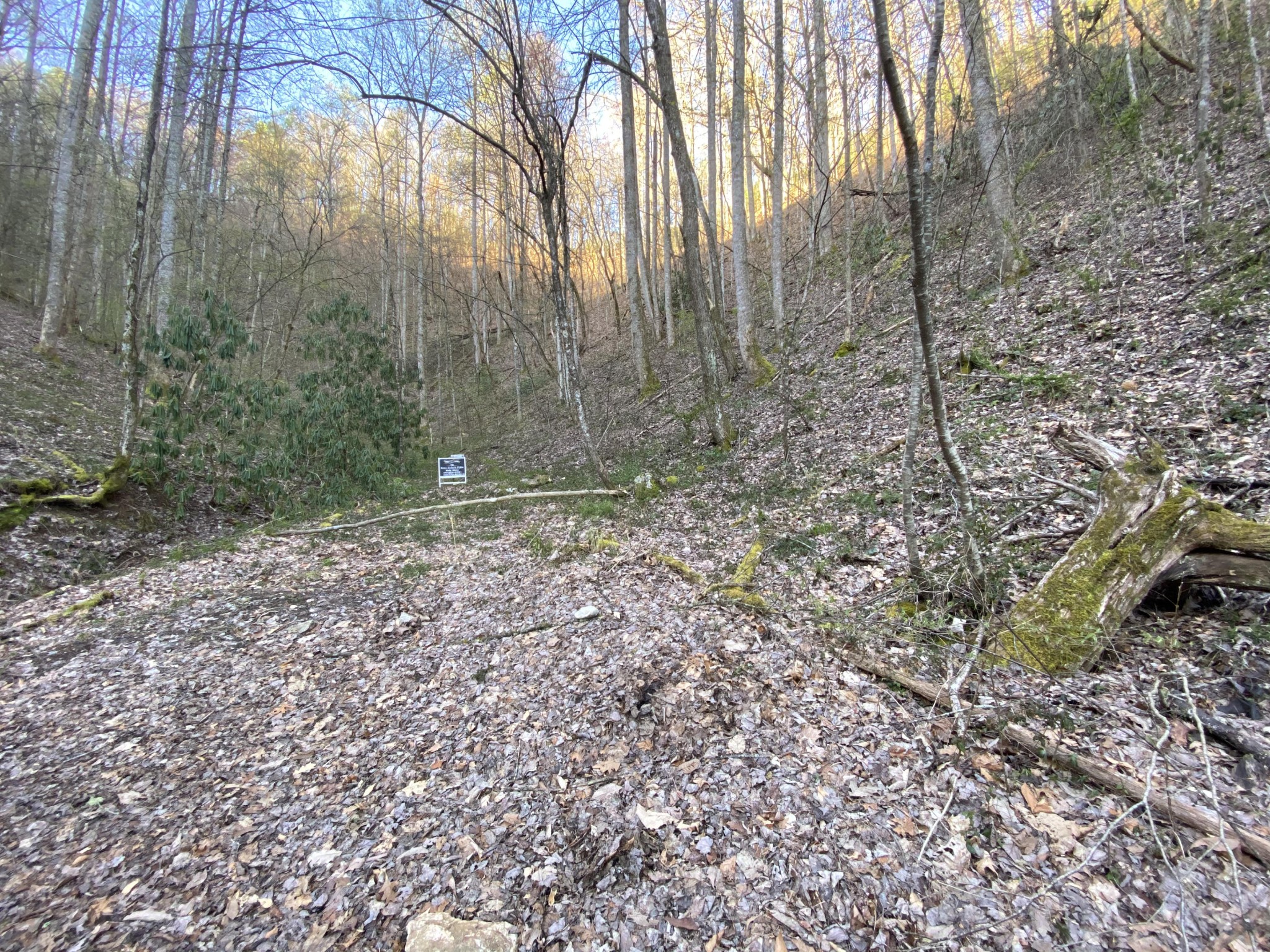0 South Clear Fork Road Sevierville, TN 37862 - Photo 22 of 22 Gallery Image 22
