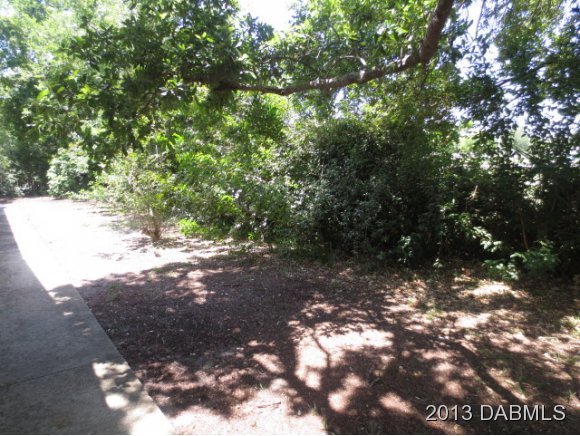 203 Eaton Road Edgewater, FL 32132 - Photo 12 of 12 Additional Photo