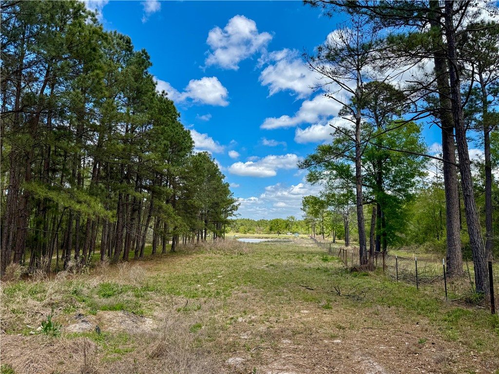 12082 State Highway 30 Anderson, TX 77830 - Photo 2 of 18