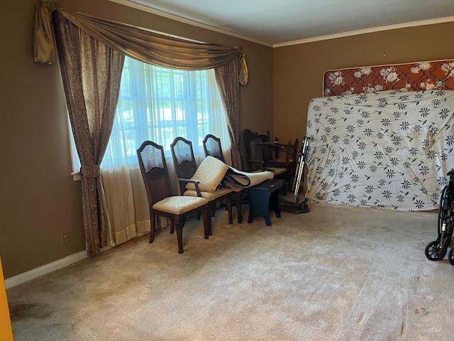 1233 Rigdon Road Columbus, GA 31906 - Photo 4 of 11 Living Room