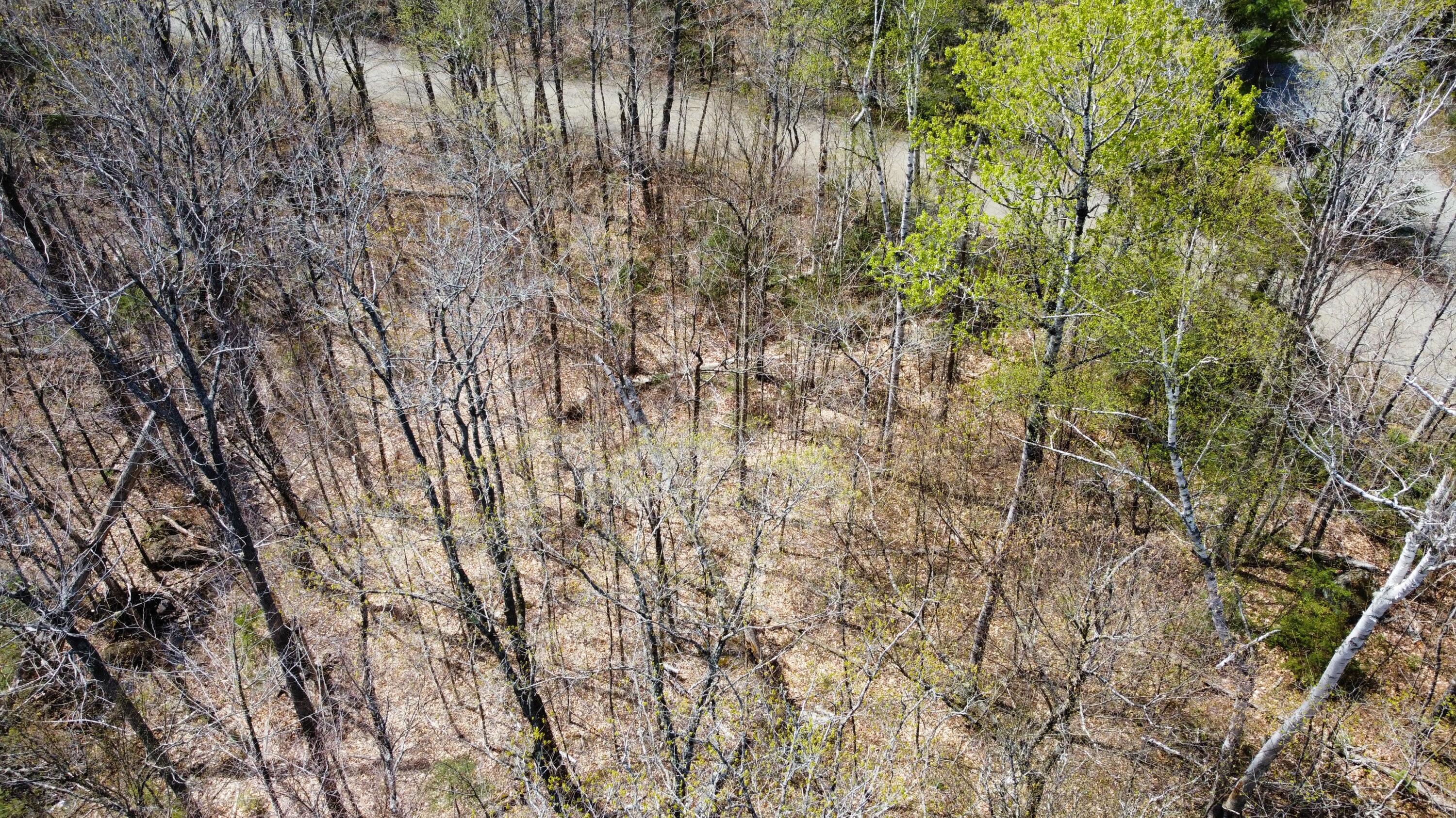 2029 Fox Hollow Road Carrabassett Valley, ME 04947 - Photo 6 of 10