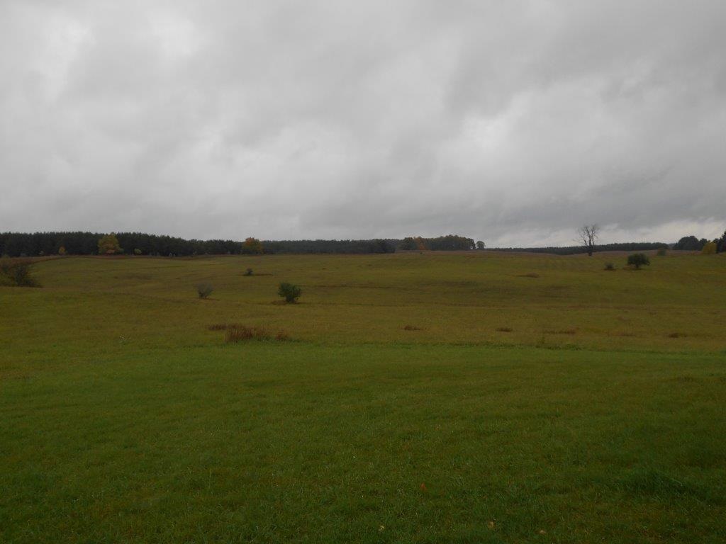 1847 East 24 Road Cadillac, MI 49601 - Photo 46 of 49 1794329-45.JPG