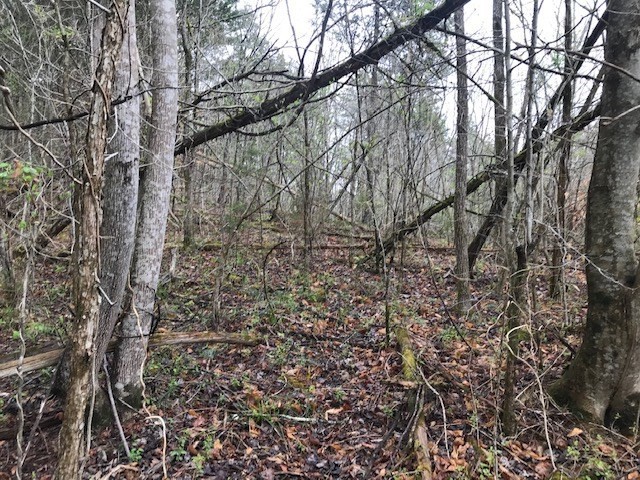 468 Co Road Englewood, TN 37329 - Photo 25 of 33