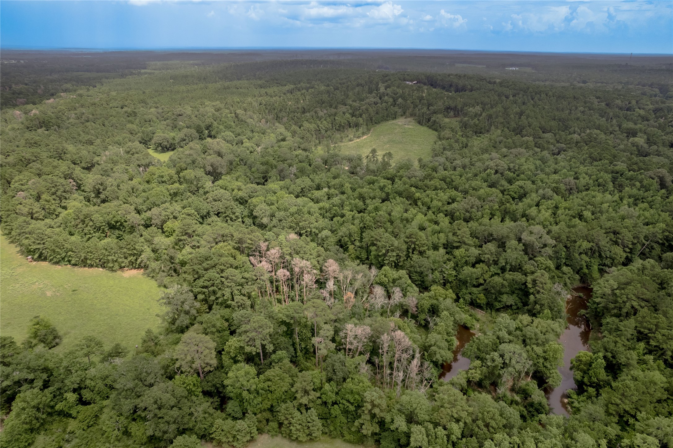 438 Cody Road Trinity, TX 75862 - Photo 27 of 50 Expansive aerial view of lush, densely wooded land with a small, winding creek, offering serene natural beauty and seclusion ideal for a tranquil home setting.