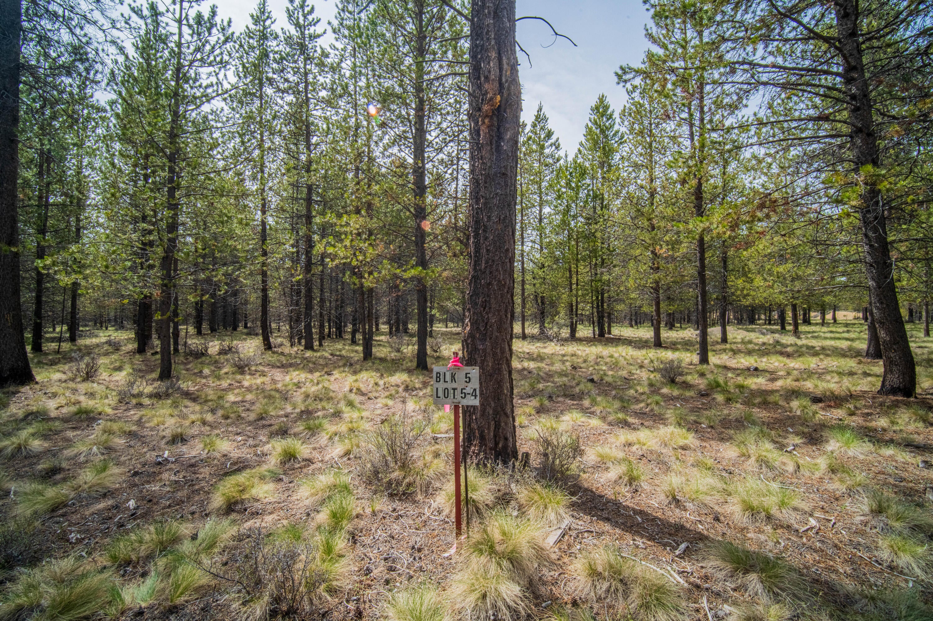54970 Roundtree Lane Bend, OR 97707 - Photo 14 of 17 54970 Roundtree Ln-10