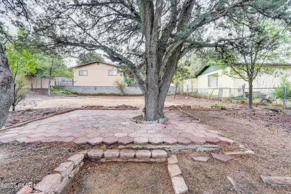 a tree in the middle of a yard