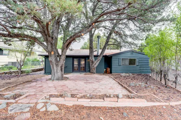 a tree in middle of a yard