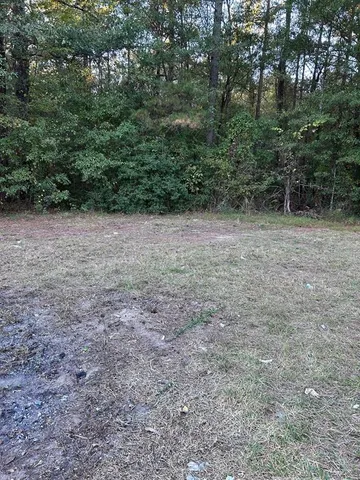 a view of a yard with a tree