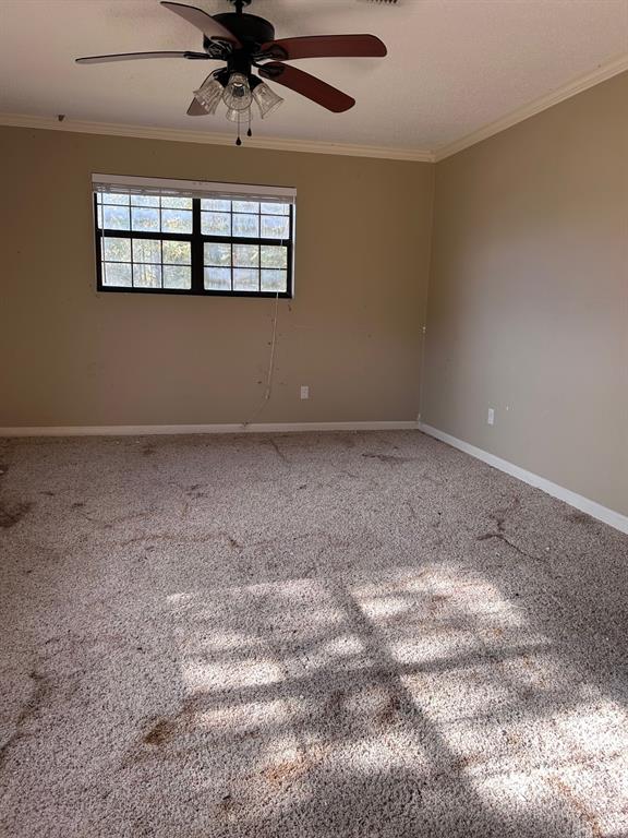 13550 Johns Gin Road Keithville, LA 71047 - Photo 4 of 11 Carpeted spare room featuring ornamental molding and a ceiling fan