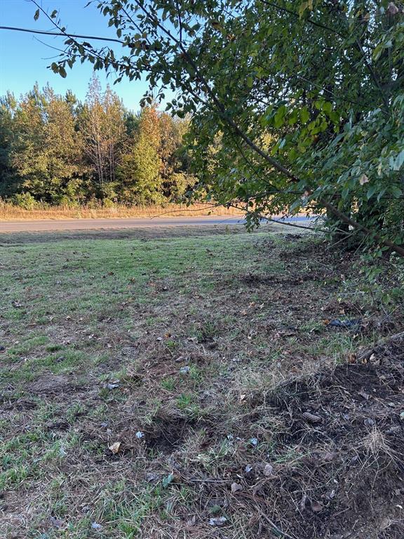 13550 Johns Gin Road Keithville, LA 71047 - Photo 8 of 11 View of yard