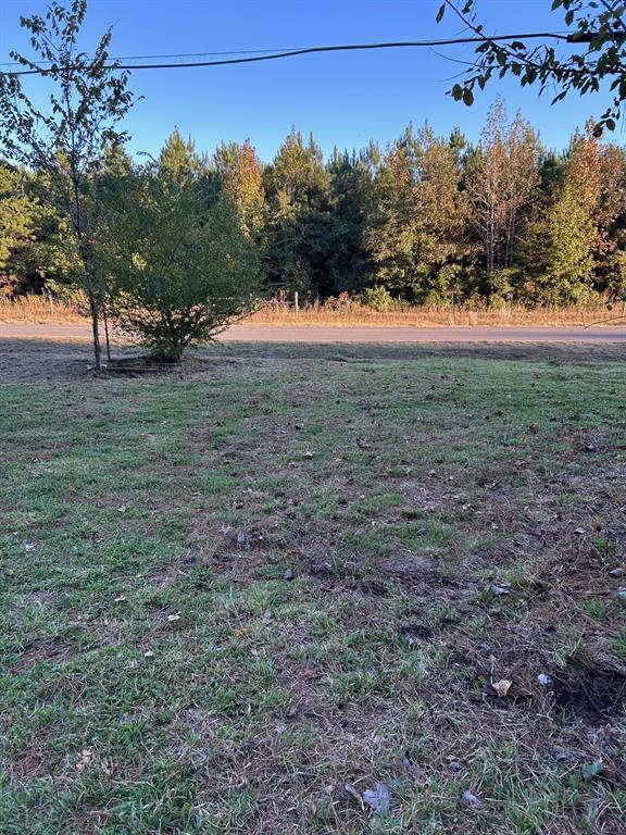 13550 Johns Gin Road Keithville, LA 71047 - Photo 9 of 11 View of green lawn