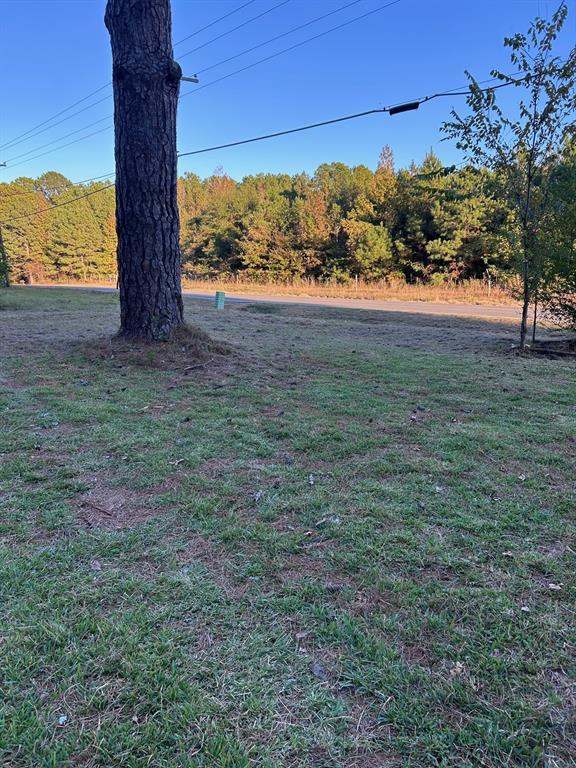 13550 Johns Gin Road Keithville, LA 71047 - Photo 10 of 11 View of green lawn