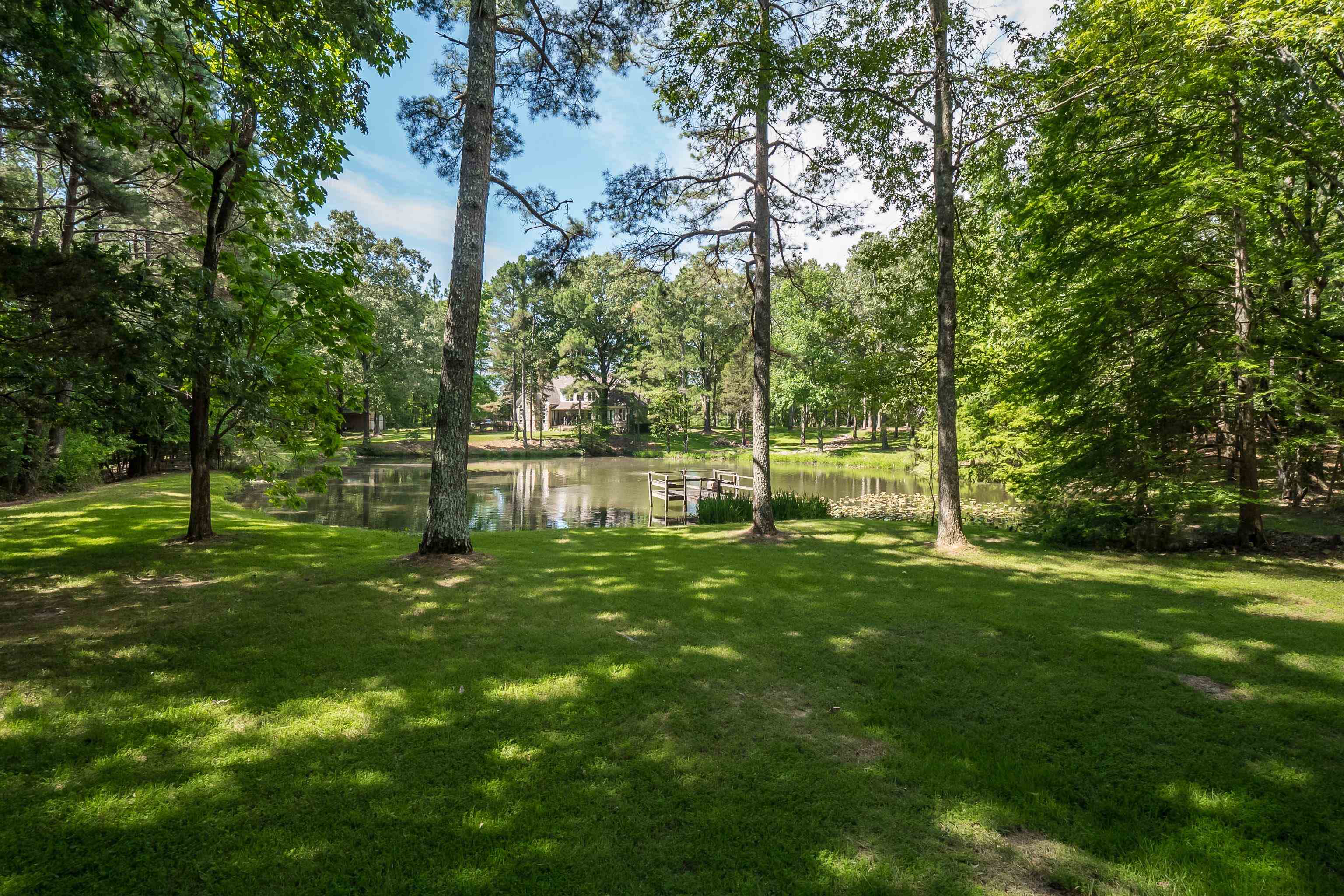 11046 Raleigh Lagrange Road East Eads, TN 38028 - Photo 39 of 40 View of yard with a water view
