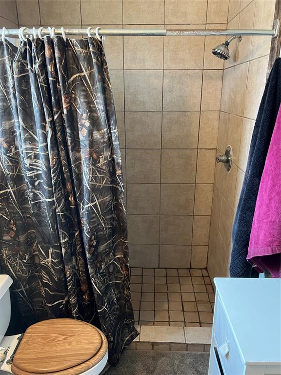 1921 Salt Creek Road Jacksboro, TX 76458 - Photo 16 of 31 a bathroom with a toilet and shower