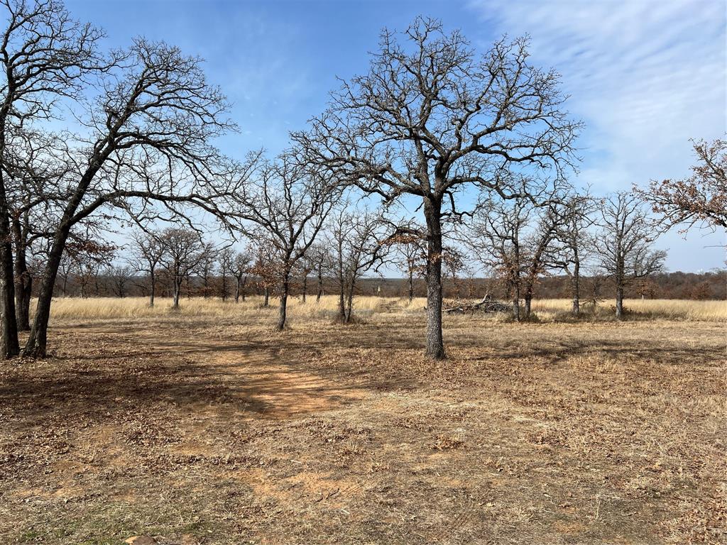 1921 Salt Creek Road Jacksboro, TX 76458 - Photo 22 of 31 a view of a yard covered with snow