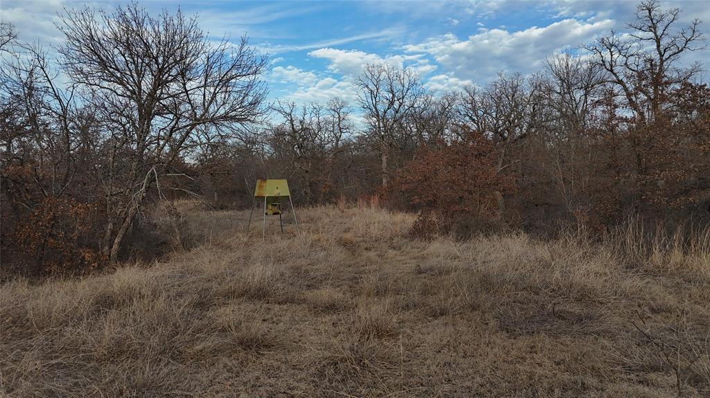 1921 Salt Creek Road Jacksboro, TX 76458 - Photo 24 of 31 a view of a forest with trees in back