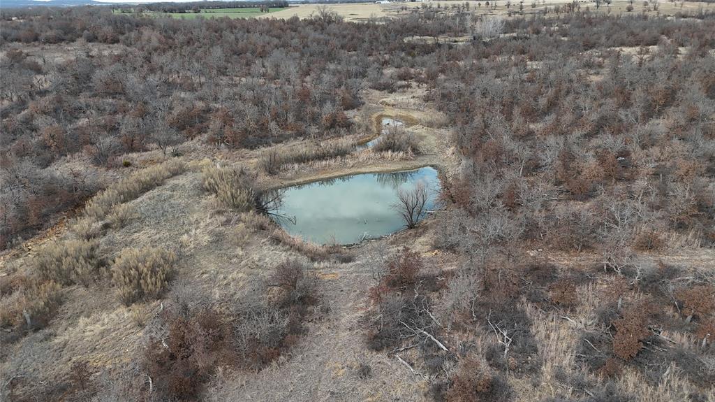 1921 Salt Creek Road Jacksboro, TX 76458 - Photo 3 of 31 a view of a dry yard