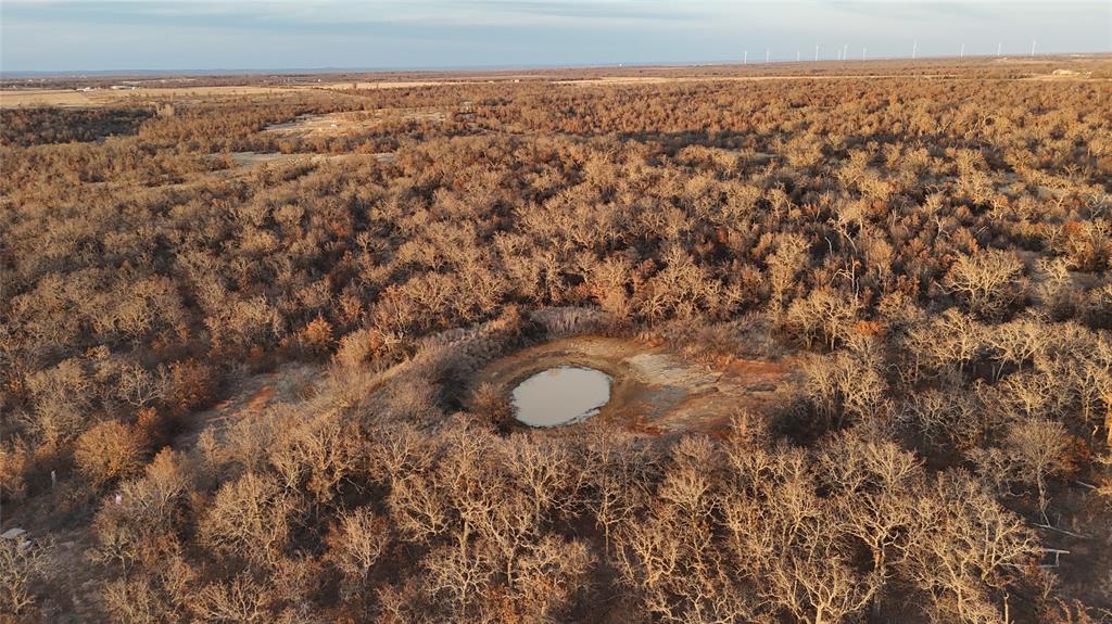 1921 Salt Creek Road Jacksboro, TX 76458 - Photo 7 of 31 a view of a green field