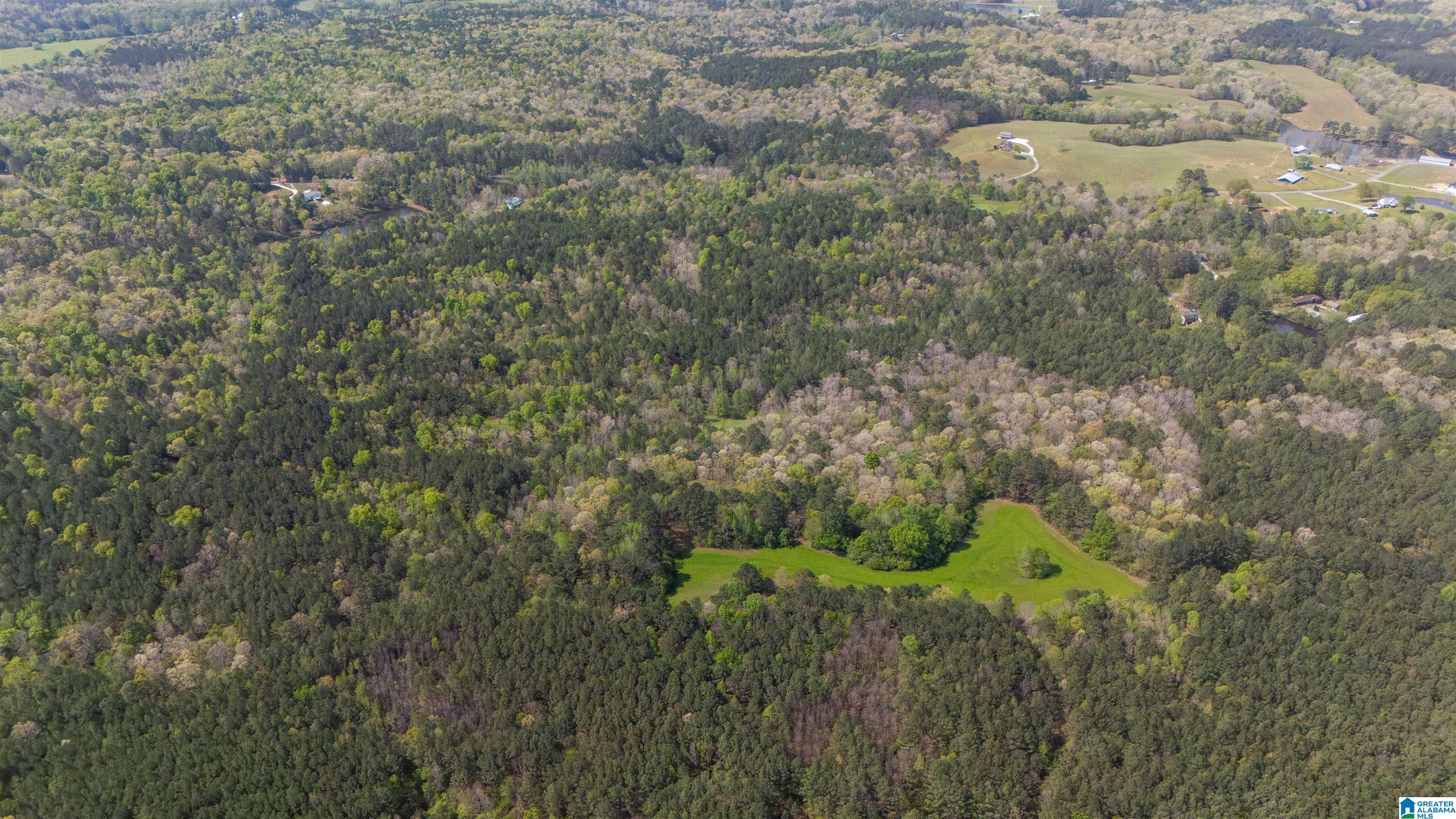 2121 Center Hill Road Trafford, AL 35172 - Photo 40 of 100