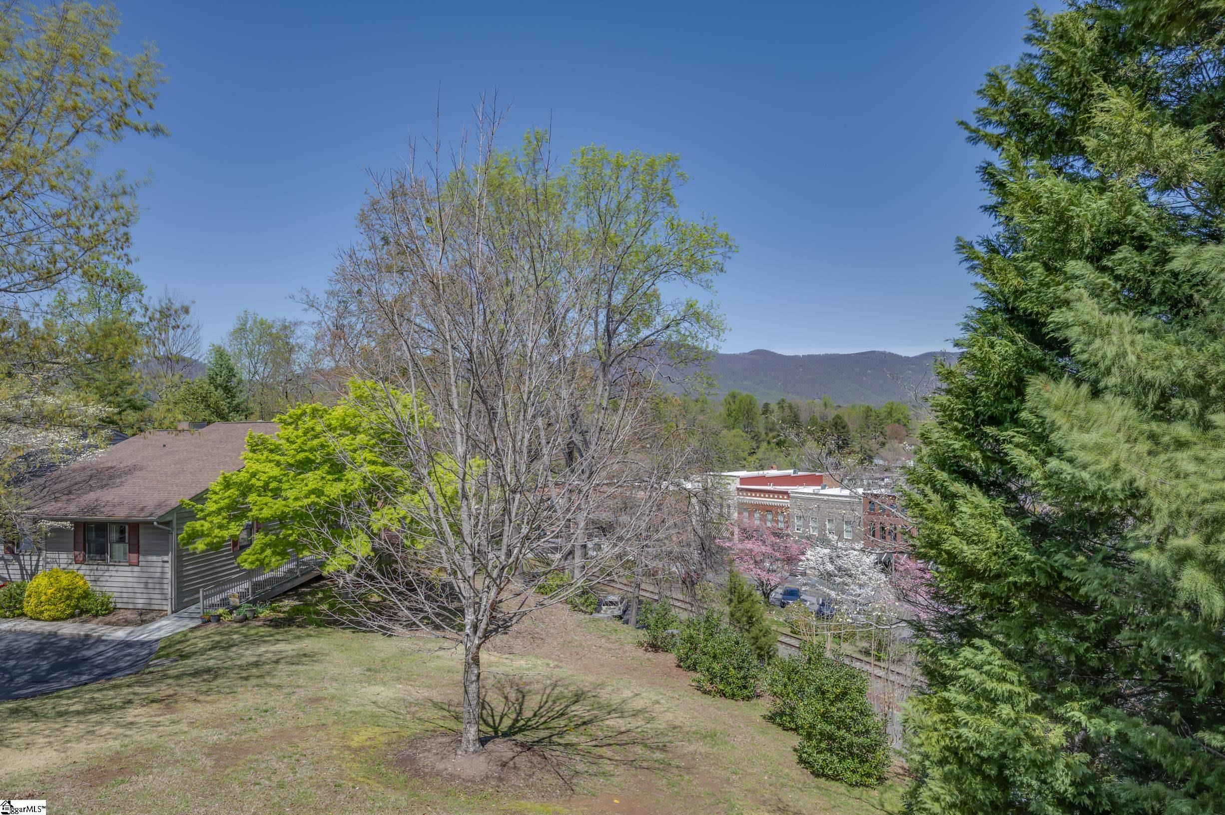 77 Chestnut Street, Unit OAK 301 Tryon, NC 28782 - Photo 16 of 39