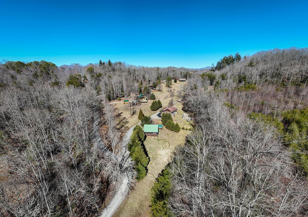 322 Hickory Br Road Whittier, NC 28789 - Photo 42 of 50