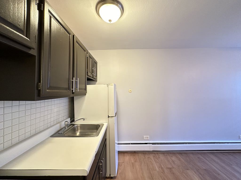 4537 North Dover Street, Unit 2H Chicago, IL 60640 - Photo 6 of 21
