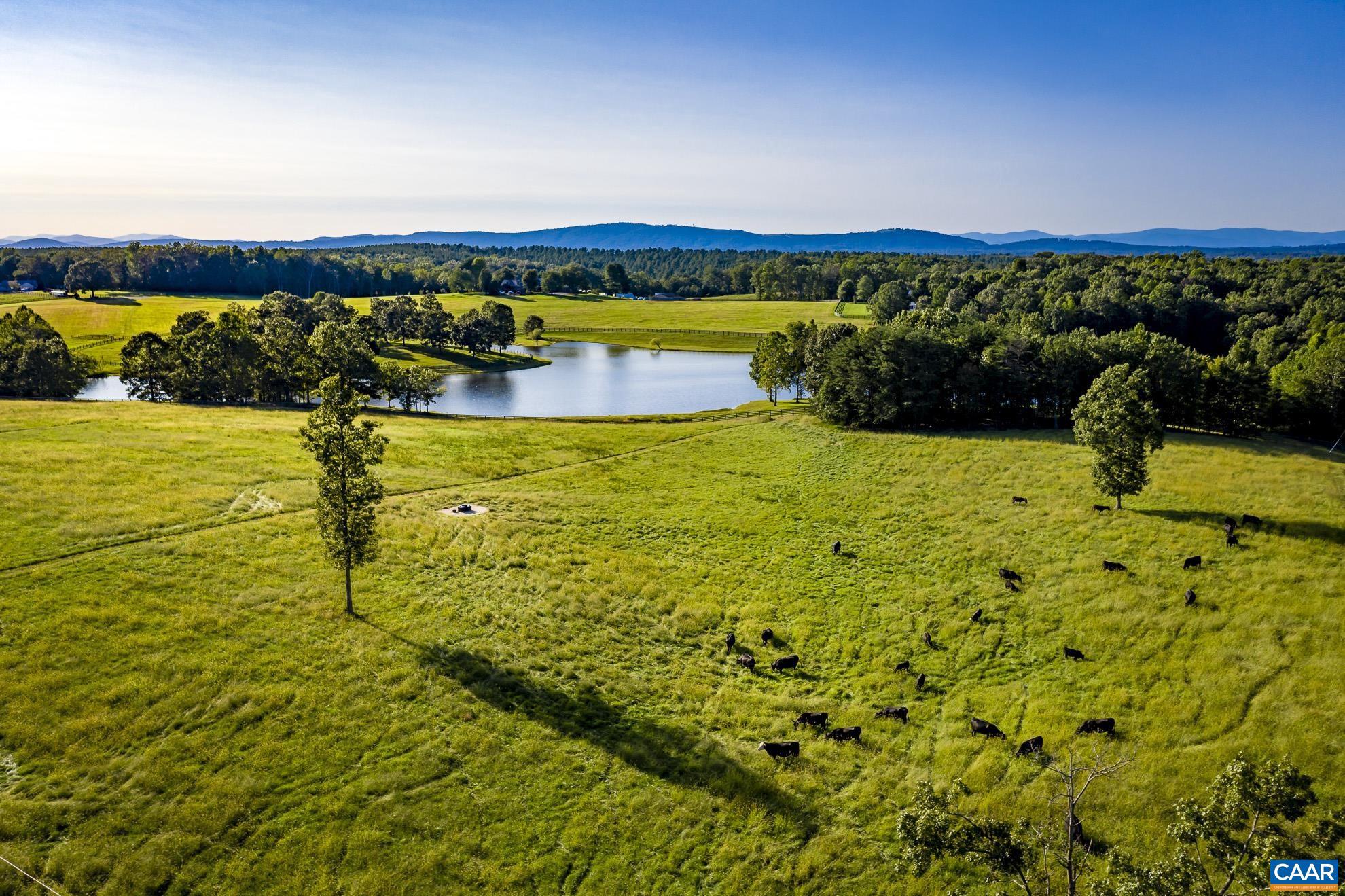 Lot 3 Martin Kings Road, Unit LOT 3 Charlottesville, VA 22902 - Photo 3 of 14