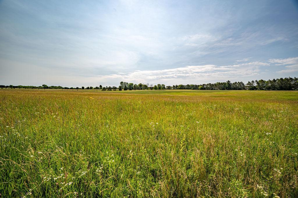 N8780 Van Buren Road Spring Valley, WI 54767 - Photo 11 of 13