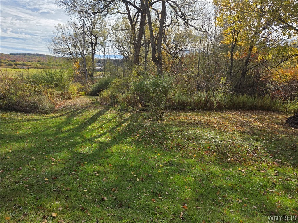 Sodum Road Little Valley, NY 14755 - Photo 4 of 7