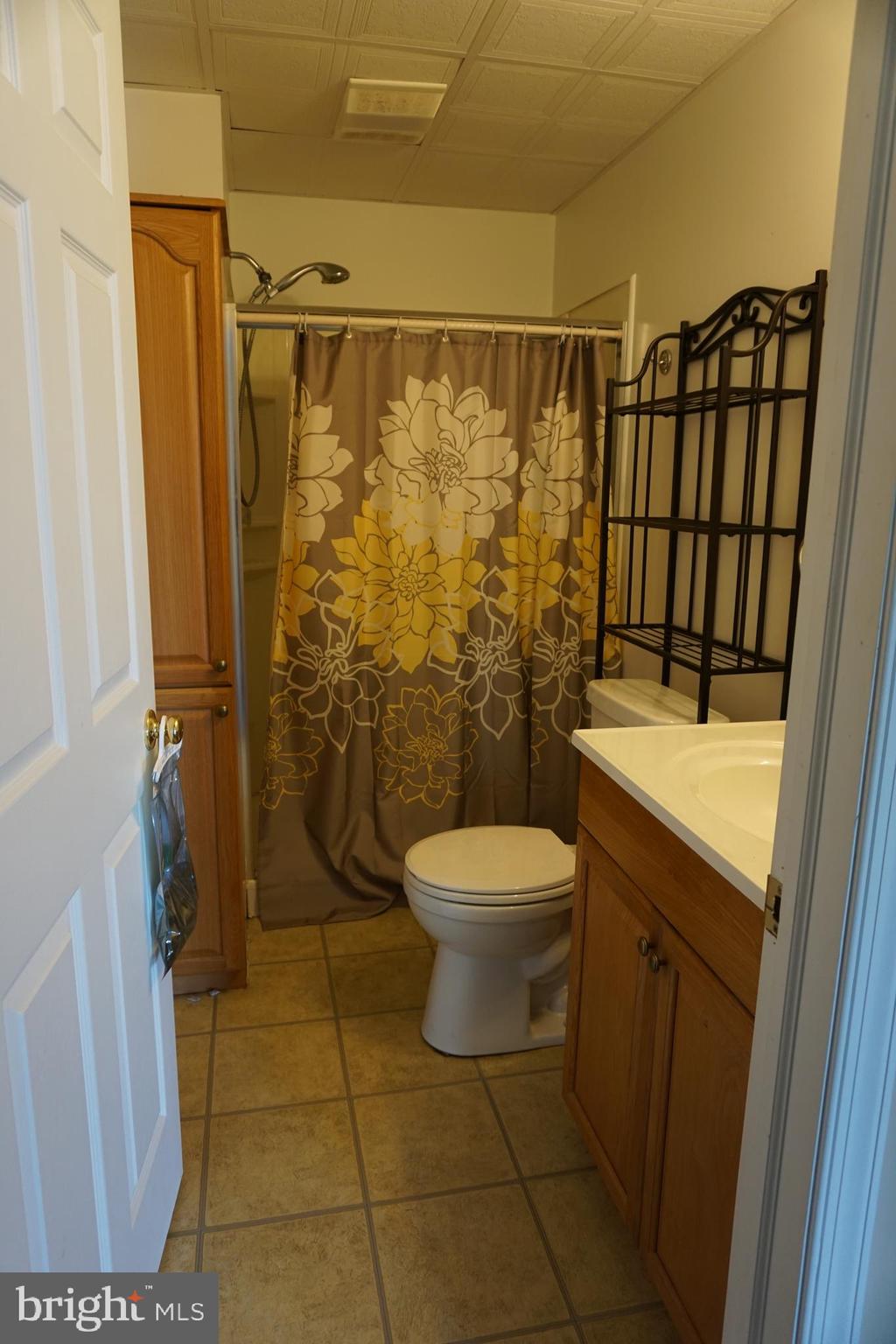 6642 Overlook Road Orefield, PA 18069 - Photo 21 of 23 Full Bathroom in Basement