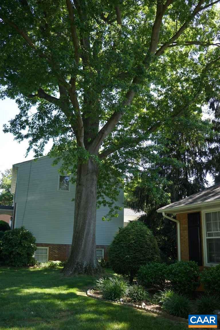 2900 Brookmere Road Charlottesville, VA 22901 - Photo 40 of 40 Gallery Image 40