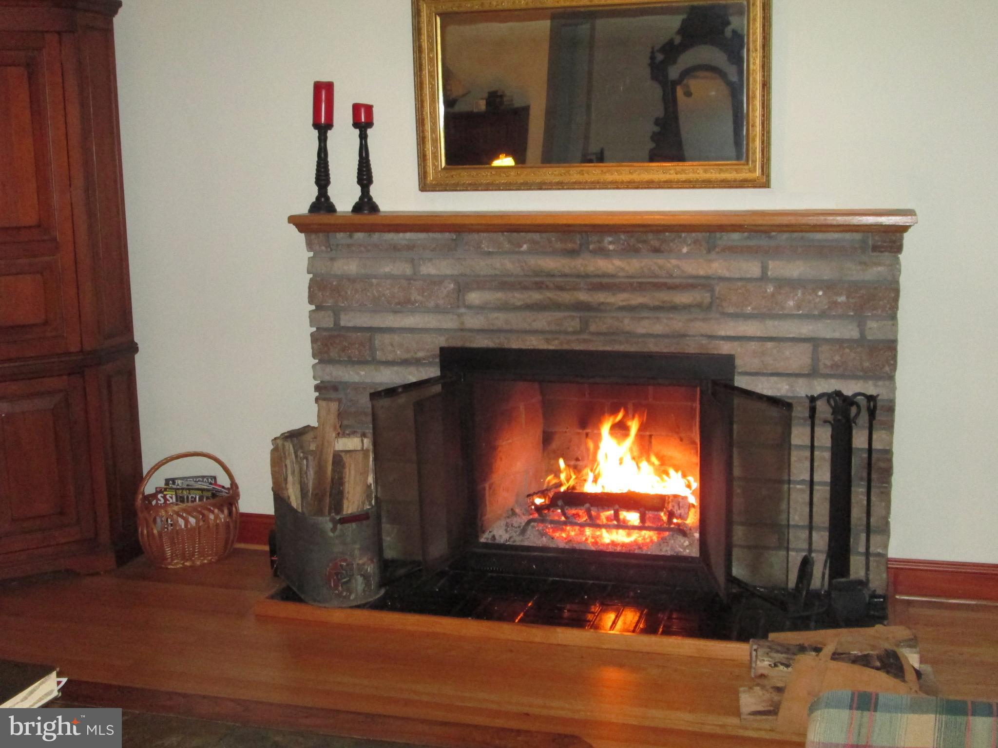 1850 Terwood Road Huntingdon Valley, PA 19006 - Photo 3 of 24 Can you not enjoy a warm fire on a winter night?
