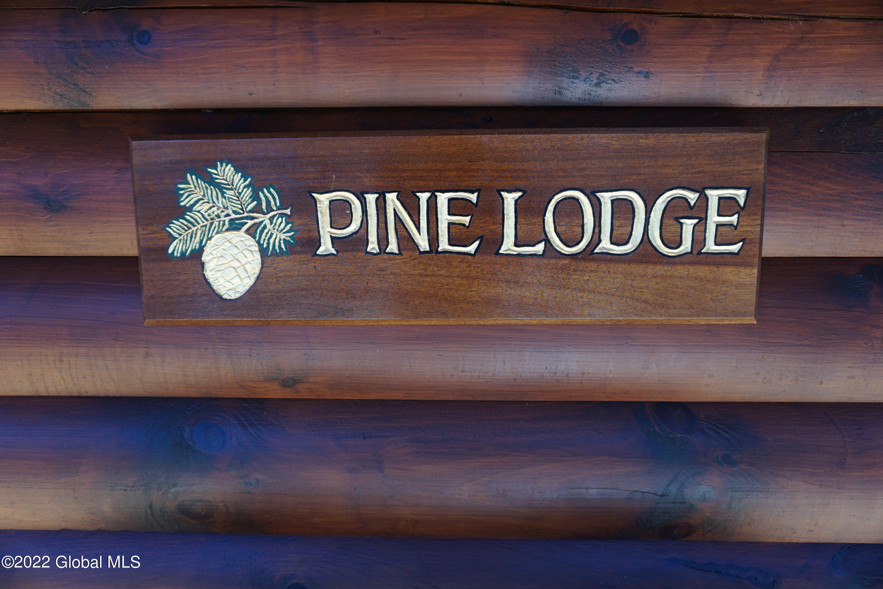 70 Heisler Road Milton, NY 12863 - Photo 3 of 58 Pine Lodge