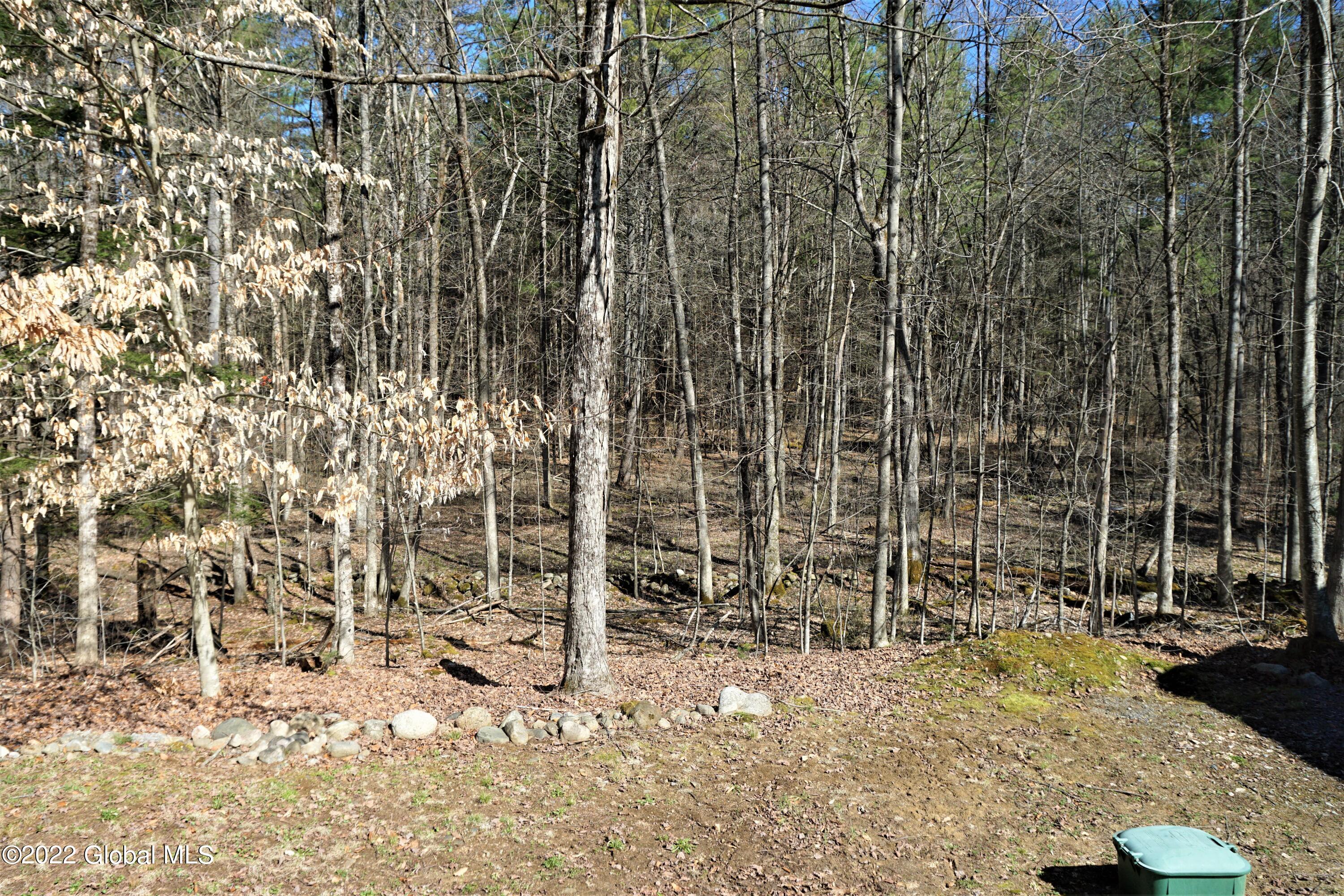 70 Heisler Road Milton, NY 12863 - Photo 51 of 58 Rear yard View
