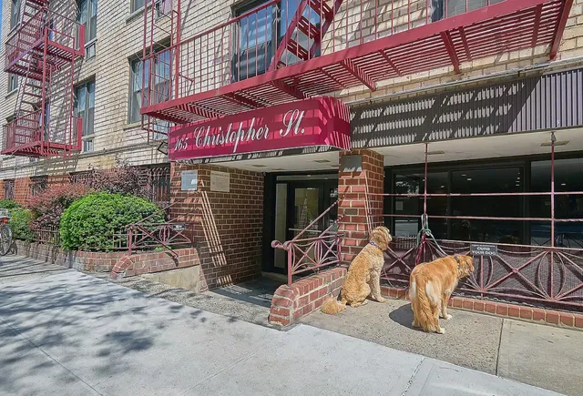 a view of a park with trees and buildings in the background