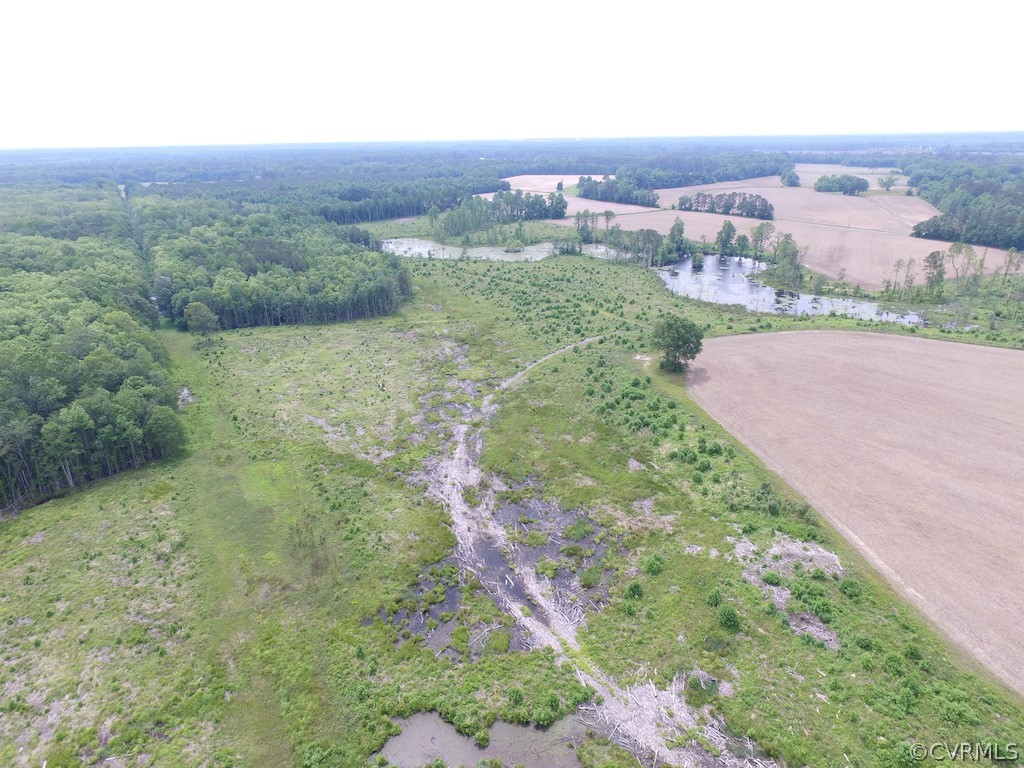170-ac Webb Road Disputanta, VA 23842 - Photo 8 of 49 Gallery Image 8