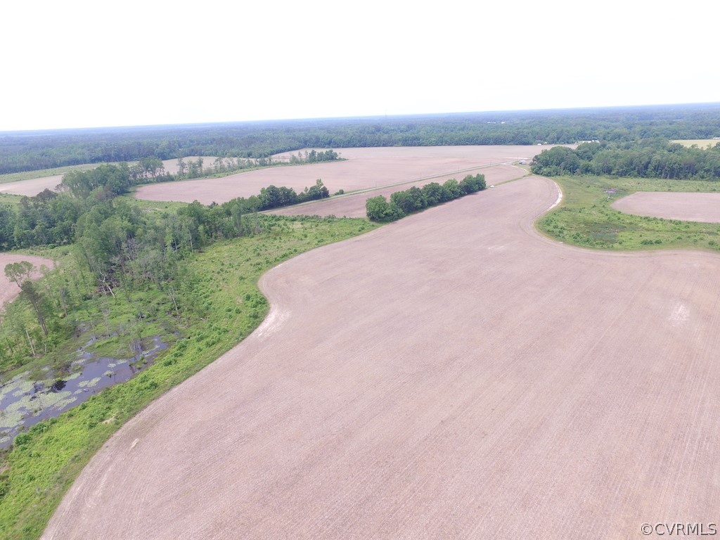 170-ac Webb Road Disputanta, VA 23842 - Photo 9 of 49 Gallery Image 9