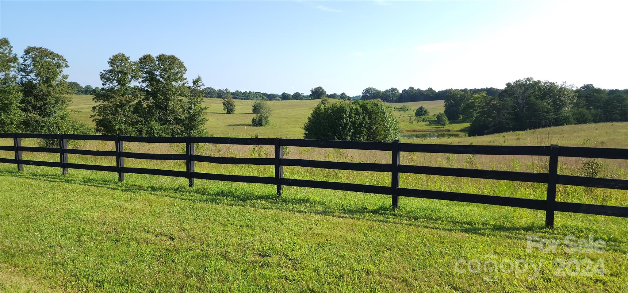 Lot 20 Ar Thompson Rd Mill Spring, Unit 20 Mill Spring, NC 28756 - Photo 12 of 17