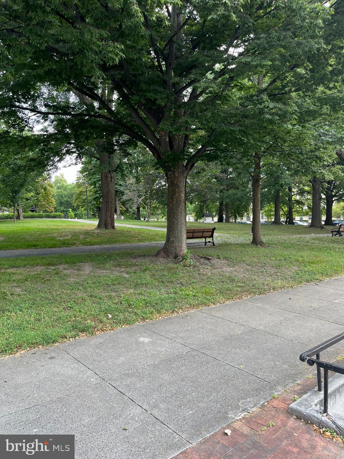 1317 West Fayette Street, Unit 3B Baltimore, MD 21223 - Photo 31 of 32 a view of a park with large trees