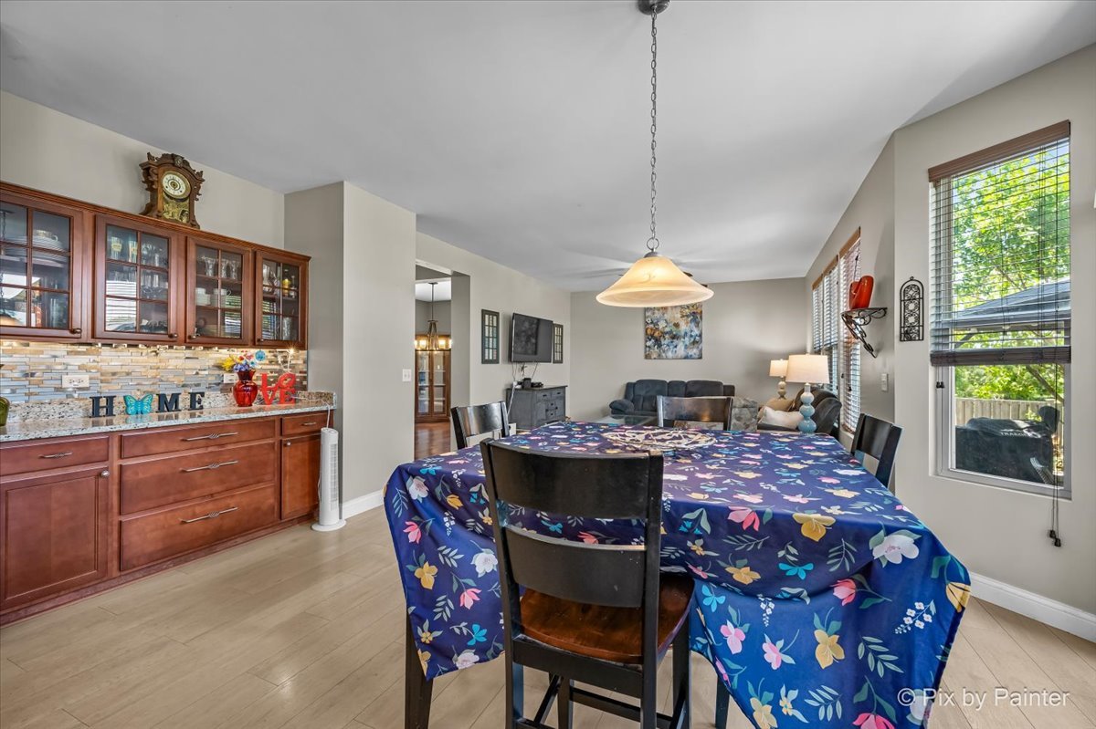 909 Avalon Way Minooka, IL 60447 - Photo 14 of 44