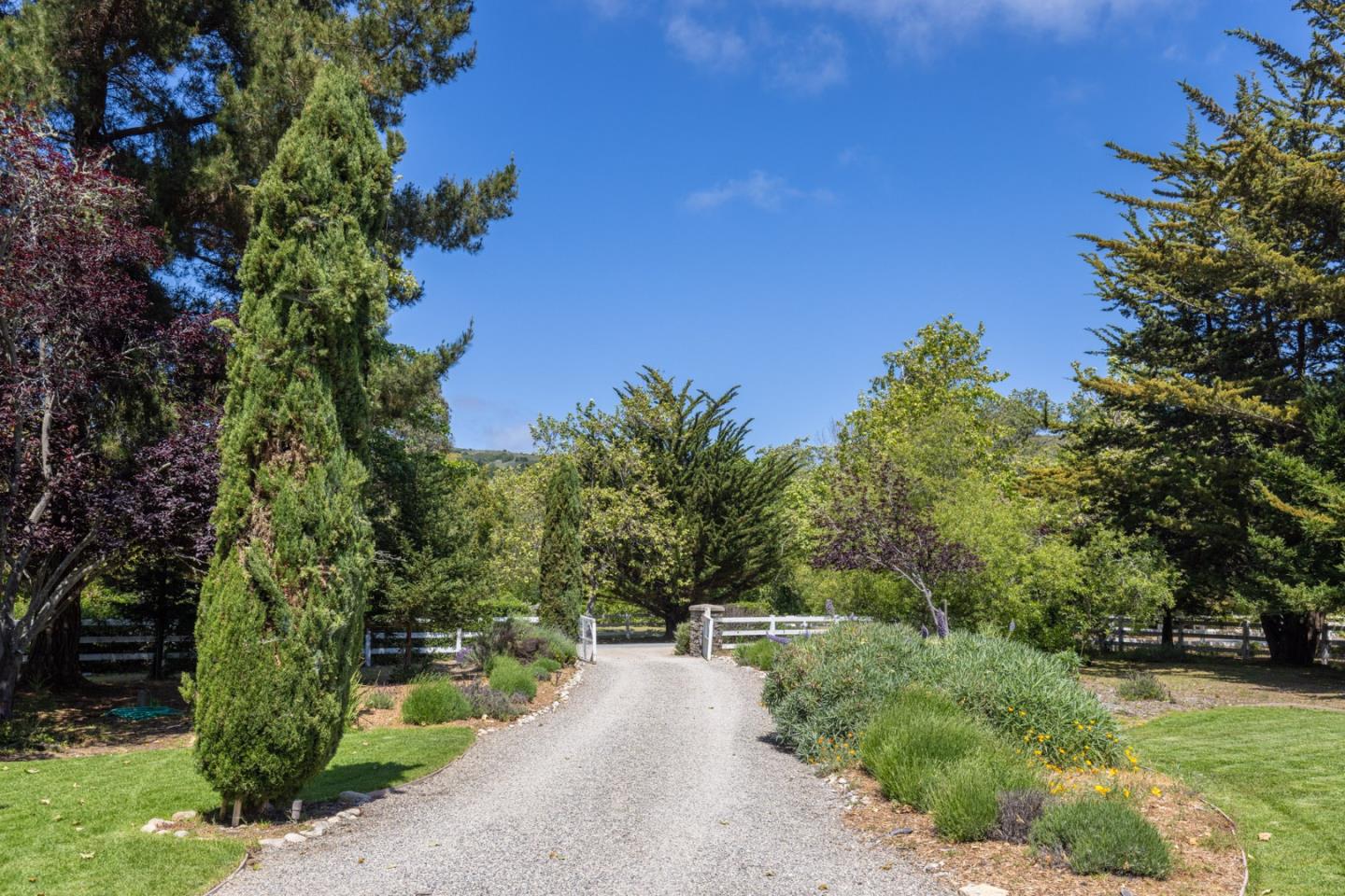 8680 River Meadows Road Carmel, CA 93923 - Photo 37 of 38 a view of a yard with plants and trees