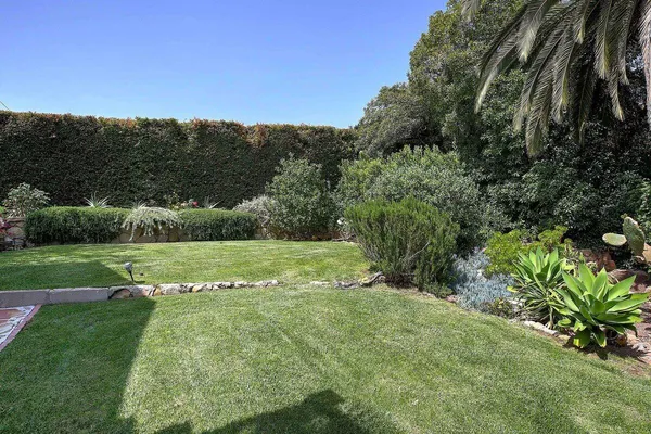a view of a field with a yard