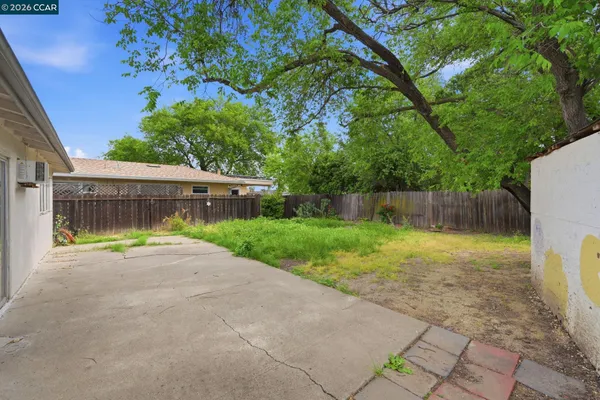 a view of a backyard with a tree