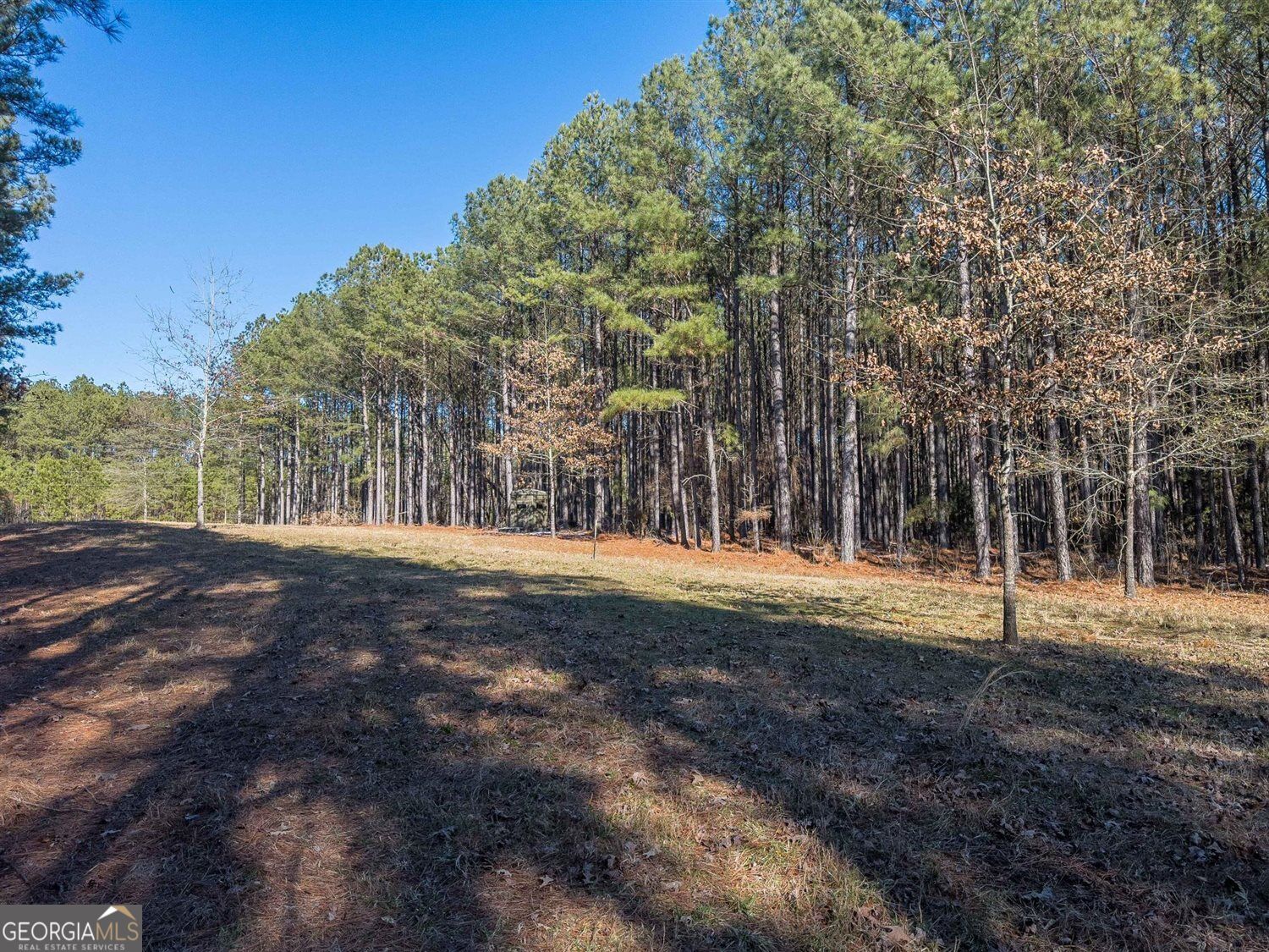 1249 Rogers Road Tignall, GA 30668 - Photo 3 of 9 Gallery Image 3