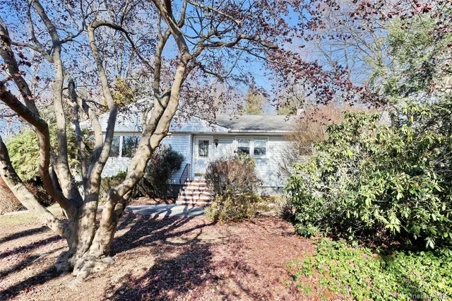 a view of a house with a tree