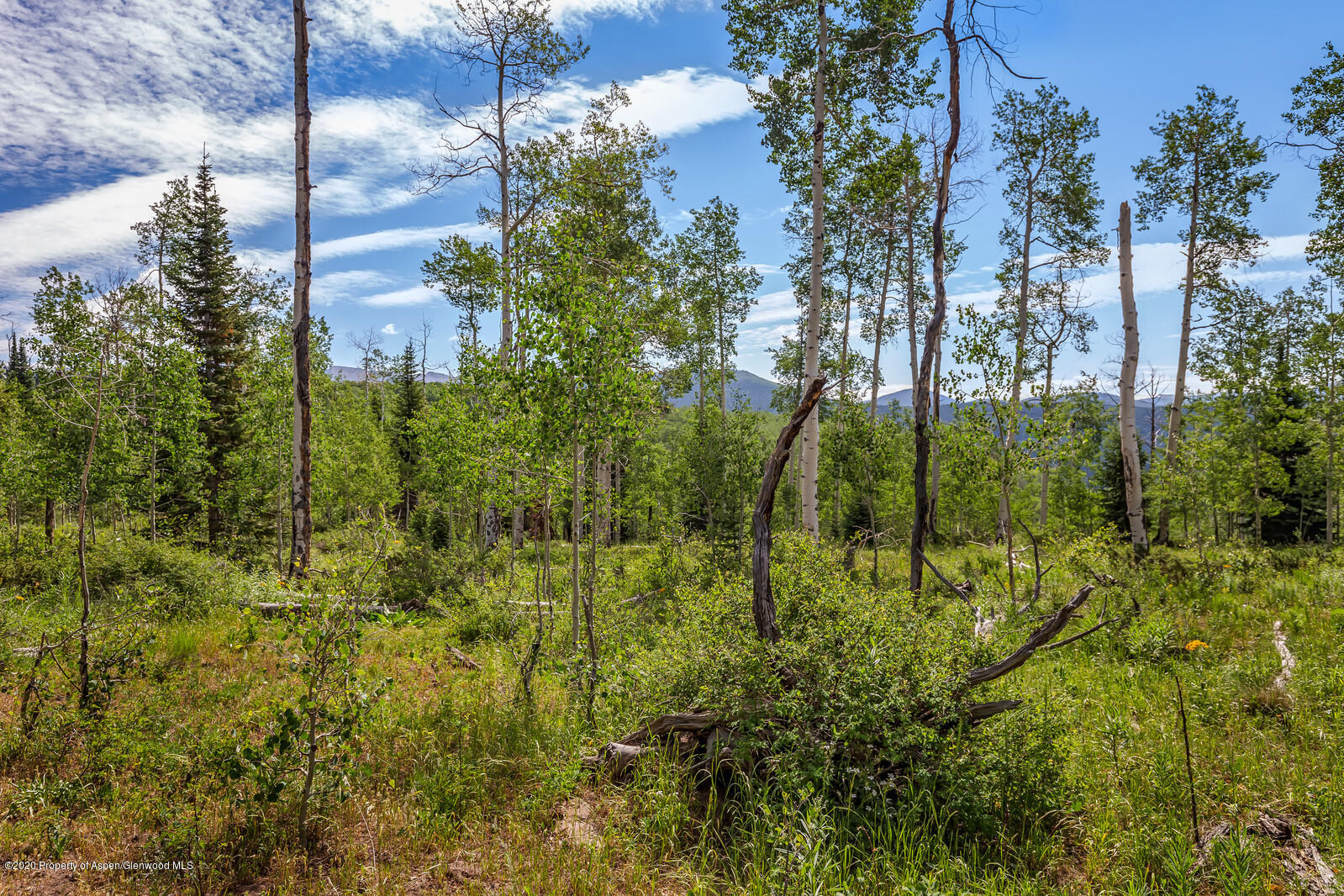589 Thomas Road Basalt, CO 81621 - Photo 54 of 80 50_589_Thomas_Road050_mls