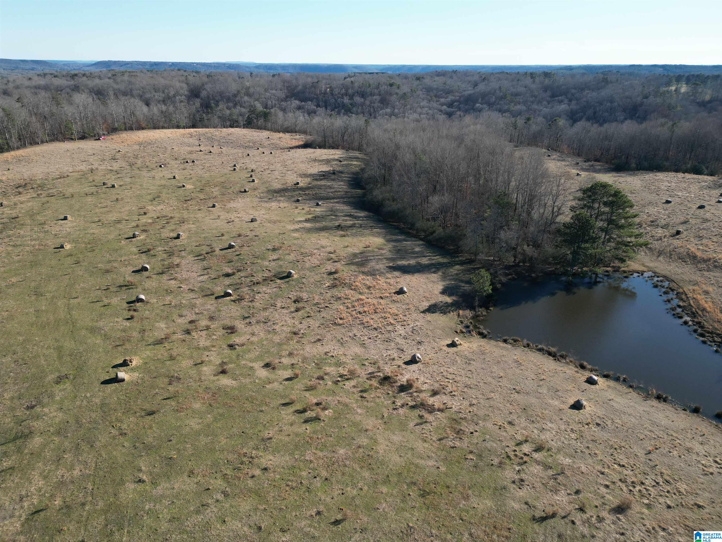 682 County Road 832 Logan, AL 35098 - Photo 22 of 48