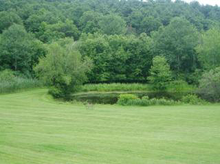 Turkey Hill Road, Unit 1135 Red Hook, NY 12571 - Photo 6 of 7 a view of a golf course