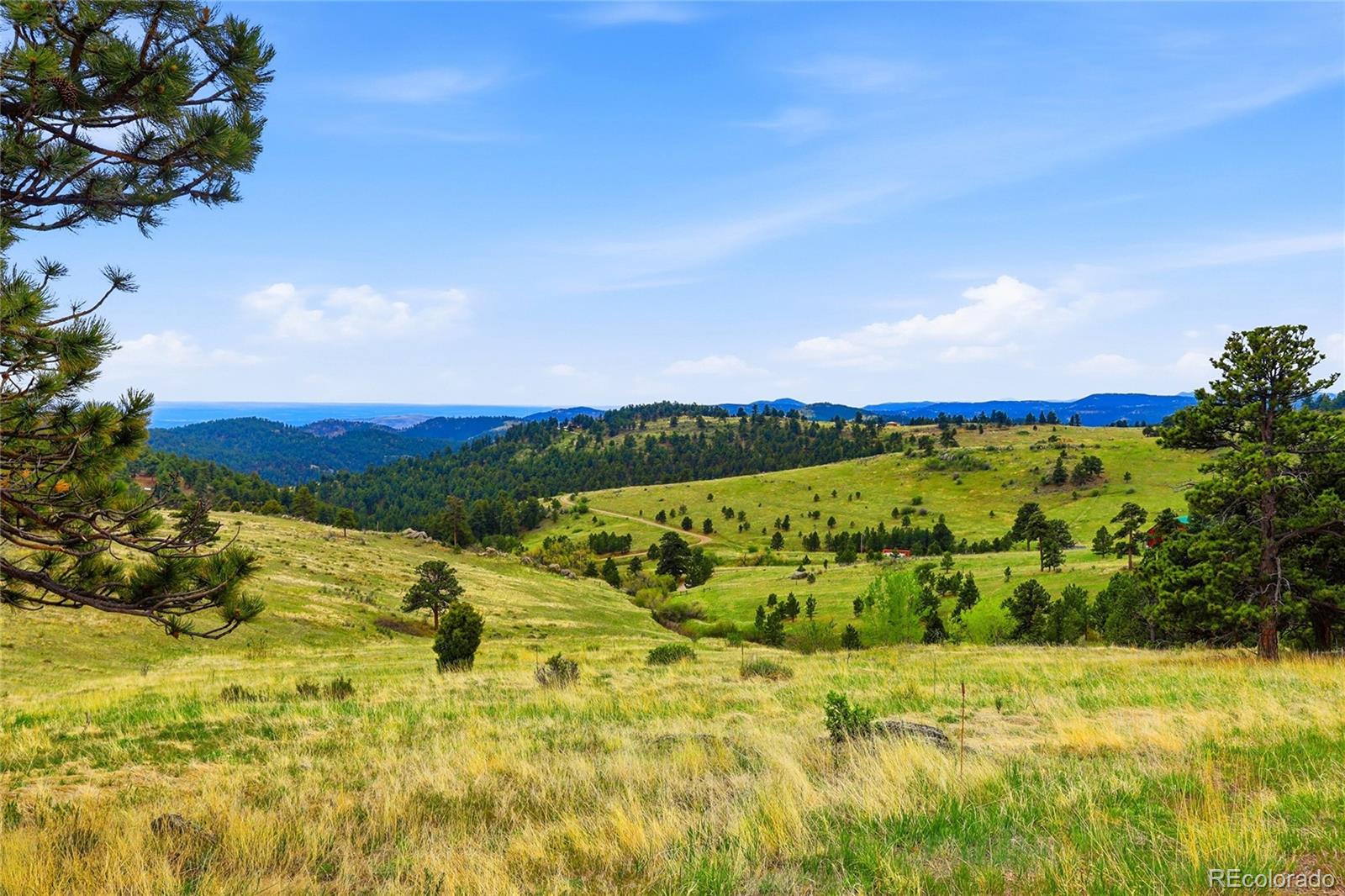 5607 Crawford Gulch Road Golden, CO 80403 - Photo 10 of 49