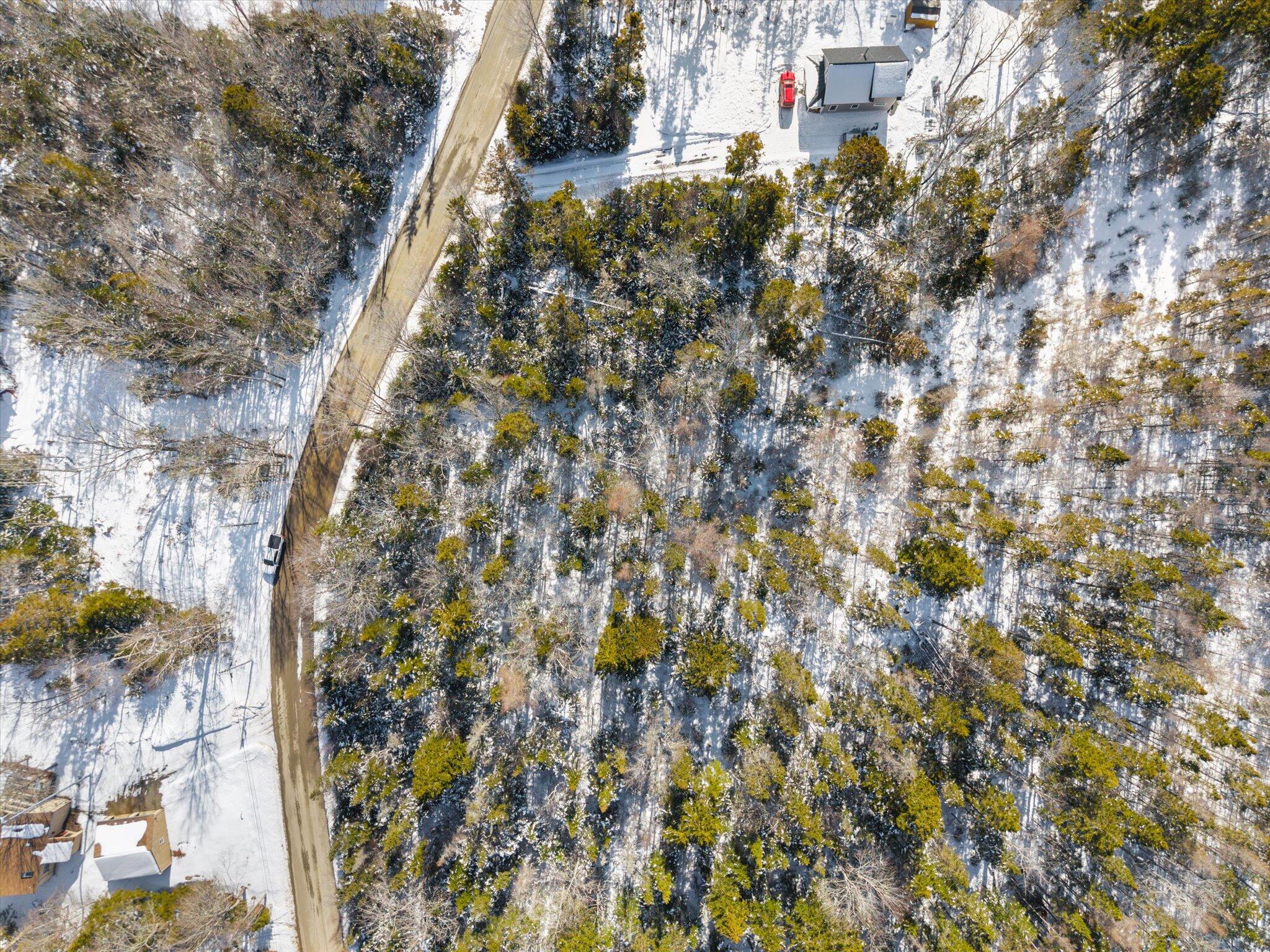 Lot #059 Paul Bunyan Road Corea, ME 04624 - Photo 12 of 15 11-Paul Bunyan Rd